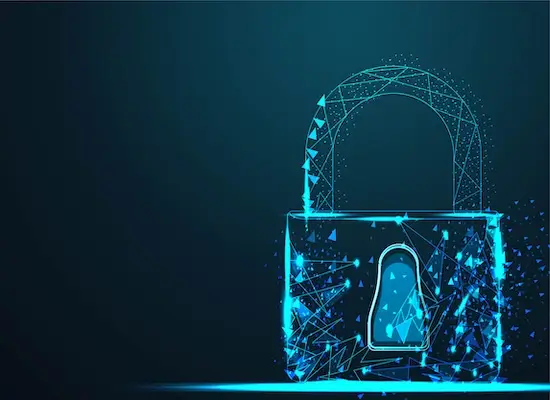 <em>Healthcare Standards</em>